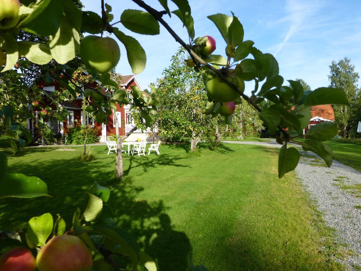 Groena Anaes Bed & Breakfast ostra Loa Exterior photo